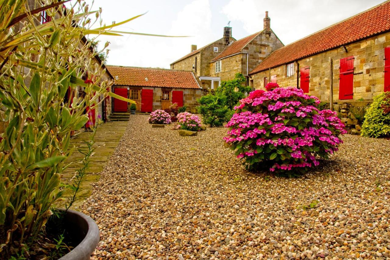 Rosecombe, Borrowby Farm Cottages Staithes Exteriör bild