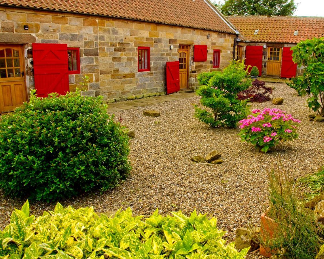 Rosecombe, Borrowby Farm Cottages Staithes Exteriör bild